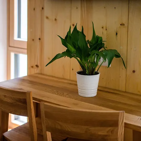 Lucka Quiet Location, Free Bikes, Big Garden, Doctor Apartman